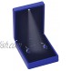 iSuperb LED Light Pendant Box Blue Necklace Display Case Jewelry Gift Box