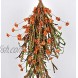 LSKYTOP Fall Harvest Swag Decorative Swag 19inch with Wheat Ear Fall Leaves Artificial Flower for Thanksgiving Christmas Halloween Wall Decor