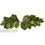 Worth Imports 36 Magnolia Leaf Berry Swag GreenRedBrown