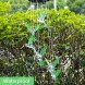Easest Changing Colors Solar Power Wind Chime Hummingbird Mobile Spinner Light Waterproof Windchime Outdoor Decorative Mobiles Hanging Solar LED Light for Patio,Yard,Garden,Pathway Lighting Decoration