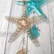 JOYBee Sea Glass Starfish Hanging Ornaments-Wall Art Decor-Christmas Tree Décor,Set of 2 Sea Life Nautical Home Decor Recycled Wall Art 12Inch*5.8Inche Haitian Decorative,