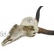 Veronese Design African Kudu Antelope Skull Wall Hanging Cool Twisted Horns
