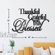 Vivegate Thankful Grateful Blessed Wall Decor – Home Thankful Iron Wall Decor Blessed Wall Signs for Home Decor Entry Way Large 18X12