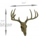 Zeckos Little Bucky Wall Mounted Faux Aged Finish 10 Point Antlers Deer Skull 15 Inch