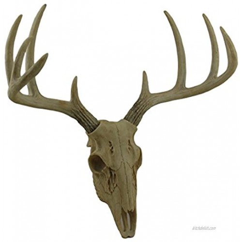 Zeckos Little Bucky Wall Mounted Faux Aged Finish 10 Point Antlers Deer Skull 15 Inch
