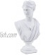 Beonueni 12 Inch Roman Goddess of Wisdom Bust Statue Gypsum Statue Replica Sculpture Figurine Home Decor Resin Crafts for Sketch Practice Artist White