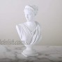 Beonueni 12 Inch Roman Goddess of Wisdom Bust Statue Gypsum Statue Replica Sculpture Figurine Home Decor Resin Crafts for Sketch Practice Artist White