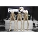 Halloween Statues No-Evil Skeleton Collectible-Figurines Realistic Skull Decorations See Speak Hear No Evil Home Decor Set of 3 2.3L x 4W x 4.3H inch Newman House Studio