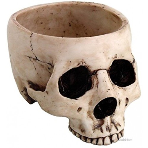 PTC 6.75 Inch Ceramic Open Skeleton Skull Figurine Medium Bowl Beige