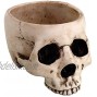 PTC 6.75 Inch Ceramic Open Skeleton Skull Figurine Medium Bowl Beige
