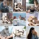 Wooden Dog Cat Family Statue Handmade Wooden Decoration Cute Puppy Kitty and People Statue Sculpture Ornament Collectible Figurine Craft Arts for Home Office Living Room Women+Puppy