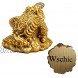 Wschic Feng Shui Money Frog Lucky Money Toad Decorations,Ideal for Attracting Wealth