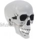 XIDAJIE Skull Highly Realistic Replica Human Skull Statue Skeleton Figurines Human Skull Statue Head Bone Model for Halloween Bar Home Table Decoration