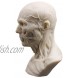 Doc.Royal Human Bust Sculpture Statue Resin Sketch Draw Plaster Cast Artist Model Decor