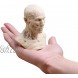 Doc.Royal Human Bust Sculpture Statue Resin Sketch Draw Plaster Cast Artist Model Decor
