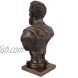 US 9.5 Inch Michelangelo Buonarroti Cold Cast Bust Statue Bronze Color