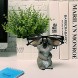 Kanasi Koala Shape Eyeglass Holder Sunglasses Holder Spectacle Holder Glasses Display Stands
