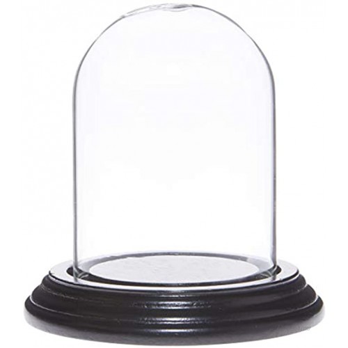 Plymor 2.5 x 3.5 Small Glass Display Dome Cloche Black Wood Veneer Base