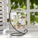 Artliving 6 Pack Ornament Display Stand Black Iron Hanging Stand Rack Holder for Hanging Glass Globe Air Plant Terrarium Witch Ball Christmas Ornament and Home Wedding