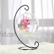 Artliving 6 Pack Ornament Display Stand Black Iron Hanging Stand Rack Holder for Hanging Glass Globe Air Plant Terrarium Witch Ball Christmas Ornament and Home Wedding