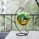 HiGift Ornament Display Stand 5 Pack Iron Hanging Stand Rack Holder for Hanging Glass Globe Air Plant Terrarium Witch Ball and Home Wedding Decoration Black