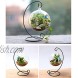 VORCOOL Spiral Ornament Display Stand Iron Hanging Stand Rack Holder for Hanging Glass Globe Air Plant Terrarium Witch Ball Christmas Ornament and Home Wedding Decoration Black