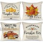 AENEY Fall Decor Pillow Covers 18x18 inch Set of 4 Fall Decorations Pumpkin Patch Truck Maple Leaves Farmhouse Throw Pillows for Thanksgiving Autumn Cushion Cases for Sofa Couch 1013bz18
