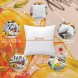 AMENON 4Pack Fall Pillow Covers 18x18 Fall Pumpkin Decorative Pillow Covers Cushion Halloween Thanksgiving Decorations for Home Sofa Couch Bedroom Indoor Outdoor Decor Holiday Pillows
