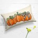 AVOIN colorlife Fall Watercolor Pumpkin Throw Pillow Covers 12 x 20 Inch Buffalo Plaid Check Bow Autumn Cushion Case for Sofa Couch