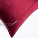 Bedsure Velvet Throw Pillow Covers 18x18 Set of 2 Decorative Pillow Covers Cushion Case for Sofa Bedroom Car，Burgundy