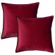 Bedsure Velvet Throw Pillow Covers 18x18 Set of 2 Decorative Pillow Covers Cushion Case for Sofa Bedroom Car，Burgundy