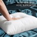 Emolli Throw Pillow Inserts Set of 2 Throw Pillow Inserts Premium Stuffer Down Alternative,Super Soft Microfiber Filled Decorative Pillow Cushion 18 x 18 Inches