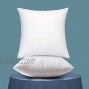 Emolli Throw Pillow Inserts Set of 2 Throw Pillow Inserts Premium Stuffer Down Alternative,Super Soft Microfiber Filled Decorative Pillow Cushion 18 x 18 Inches