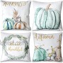 Fall Decor Fall Pillow Covers 18 X 18 Pumpkin Thanksgiving Throw Pillow Cushion Cover Set of 4 Autumn Decorations for Home