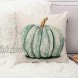 GTEXT Fall Pumpkin Throw Pillow Cover Autumn Decor Watercolor Drawing Pumpkin Pillow Case for Couch Sofa Home Decoration Fall Pillows Linen 18 X 18 Inches