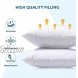 EAGLE PEAK Outdoor Indoor Rectangle Lumbar Pillow Set of 2 Decorative Throw Pillows 19'' x 12 Tropical Green