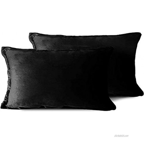 EIUE Soft Velvet Throw Pillows,Set of 2 Home Decor Decorations Square Couch Cushion with Polyester Stuffing for Sofa Bed Chair Office and Travel Car Black 12x20