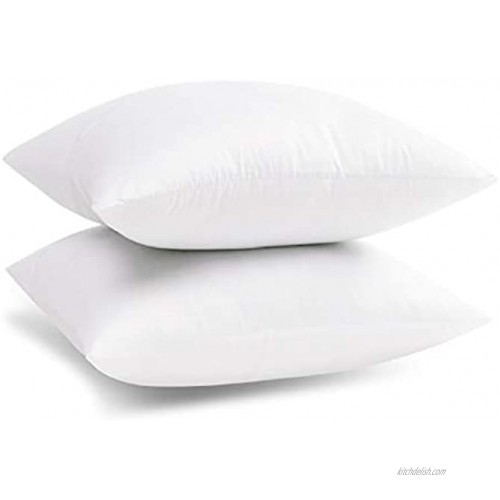 Emolli Decorative Throw Pillow Set 2 Pack Microfiber Filled White Cotton Cover Throw Pillow Insert 18 x 18 inches