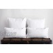 Empyrean Bedding Throw Pillow Insert 28 x 28 Inches Decorative Pillows Cotton Blend Outer Shell Indoor & Outdoor Pillows Pack of 2 White