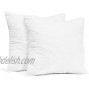 Empyrean Bedding Throw Pillow Insert 28 x 28 Inches Decorative Pillows Cotton Blend Outer Shell Indoor & Outdoor Pillows Pack of 2 White