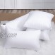Fabornus Premium 18 x 18 Throw Pillow Inserts Set of 2 Hypoallergenic Square Form Decorative Pillows for Sofa Couch Bed and Chair 18 inches
