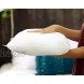 Foamily Throw Pillows Insert Set of 4-18 x 18 Insert for Decorative Pillow Covers Made in USA Bed and Couch Pillows