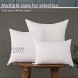 GreenSky Decorative Throw Pillow Insert 2 Pack Premium Down Alternative Microfiber Filled Pillow Inner Cushion for Sofa Couch Chair 20 x 20 inches