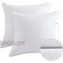 Lipo 18 x 18 Pillow Inserts Set of 2 Throw Pillow Inserts with 100% Cotton Cover Euro Pillow Inserts Down Pillow Inserts Decorative Pillow Insert Pair White Couch Pillow