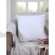 Tex Trend Throw Pillow Inserts 16x16 Inches Bed and Couch Pillow Sham Stuffer Cushions Pack of 2 White