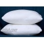 Tex Trend Throw Pillow Inserts 16x16 Inches Bed and Couch Pillow Sham Stuffer Cushions Pack of 2 White