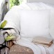 Utopia Bedding Throw Pillows Insert Pack of 2 White 20 x 20 Inches Bed and Couch Pillows Indoor Decorative Pillows
