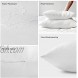12 x 20 Throw Pillow Inserts Outdoor Pillow Insert Waterproof for Couch Set of 2 Small Lumbar Pillows for Bed Couch Pillows White Sofa Pillow Indoor