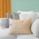 Acanva Throw Pillow Inserts Decorative Stuffer Soft Hypoallergenic Polyester Couch Square Form Euro Sham Cushion Filler 20-4P White 4 Count