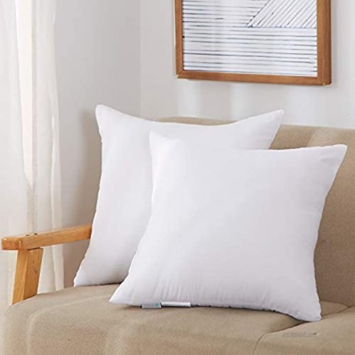 Acanva Throw Pillow Inserts Soft Couch Stuffer Hypoallergenic Polyester Square Form Washable Cushion Euro Sham Filler 18-2P White 2 Count